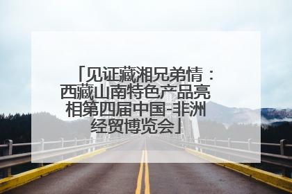 见证藏湘兄弟情：西藏山南特色产品亮相第四届中国-非洲经贸博览会