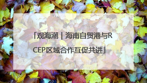观海潮｜海南自贸港与RCEP区域合作互促共进