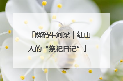 解码牛河梁｜红山人的“祭祀日记”