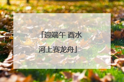 迎端午 酉水河上赛龙舟
