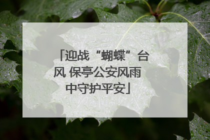 迎战“蝴蝶”台风 保亭公安风雨中守护平安