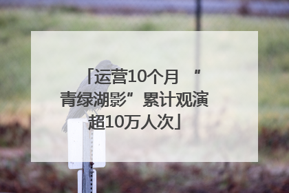 运营10个月 “青绿湖影”累计观演超10万人次