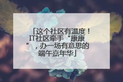 这个社区有温度！IT社区牵手“康康”，办一场有意思的端午嘉年华