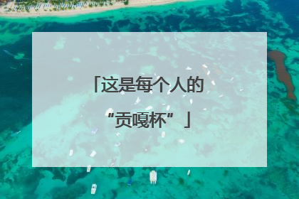这是每个人的“贡嘎杯”