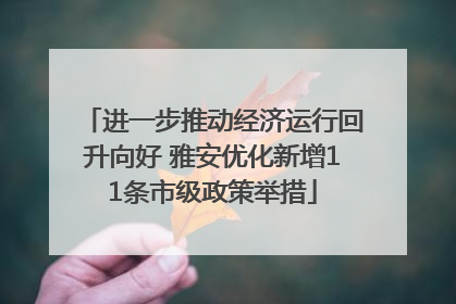 进一步推动经济运行回升向好 雅安优化新增11条市级政策举措
