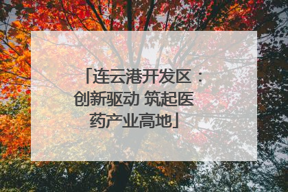 连云港开发区：创新驱动 筑起医药产业高地