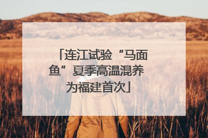 连江试验“马面鱼”夏季高温混养 为福建首次