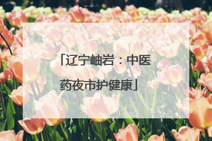 辽宁岫岩：中医药夜市护健康