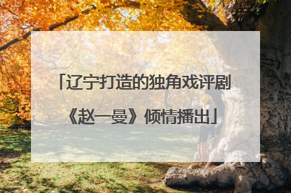 辽宁打造的独角戏评剧《赵一曼》倾情播出