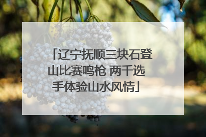 辽宁抚顺三块石登山比赛鸣枪 两千选手体验山水风情