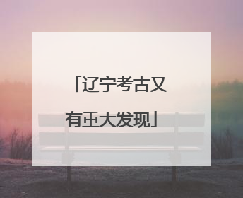 辽宁考古又有重大发现