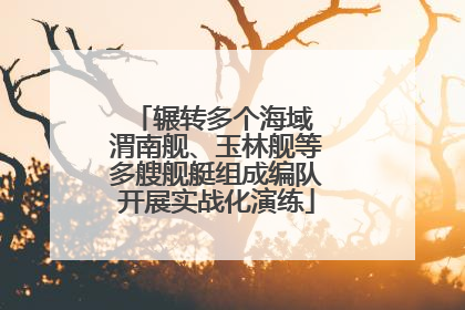 辗转多个海域 渭南舰、玉林舰等多艘舰艇组成编队开展实战化演练