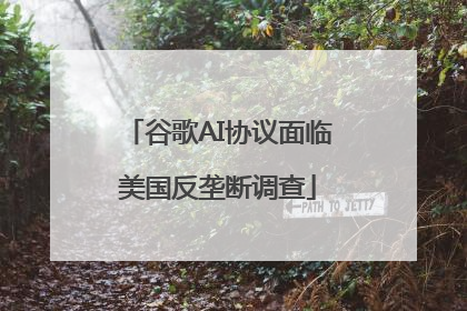 谷歌AI协议面临美国反垄断调查
