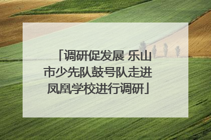 调研促发展 乐山市少先队鼓号队走进凤凰学校进行调研