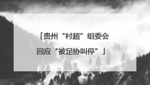 贵州“村超”组委会回应“被足协叫停”