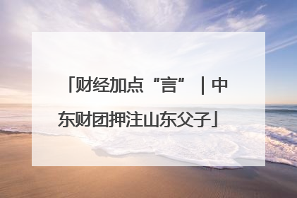 财经加点“言”｜中东财团押注山东父子