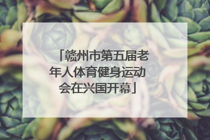 赣州市第五届老年人体育健身运动会在兴国开幕