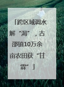跨区域调水解“渴”，古邵镇10万余亩农田获“甘霖”