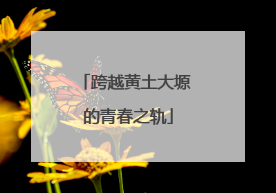跨越黄土大塬的青春之轨