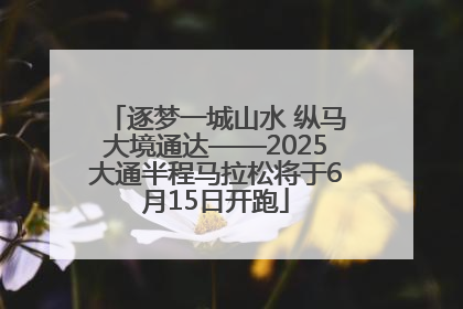 逐梦一城山水 纵马大境通达——2025大通半程马拉松将于6月15日开跑
