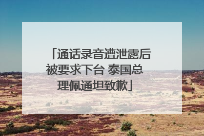通话录音遭泄露后被要求下台 泰国总理佩通坦致歉