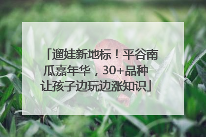 遛娃新地标！平谷南瓜嘉年华，30+品种让孩子边玩边涨知识