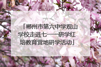 郴州市第六中学观山学校走进七一一研学红培教育营地研学活动