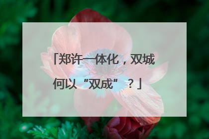 郑许一体化，双城何以“双成”？