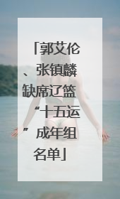 郭艾伦、张镇麟缺席辽篮“十五运”成年组名单