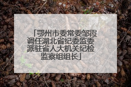 鄂州市委常委邹霞调任湖北省纪委监委派驻省人大机关纪检监察组组长
