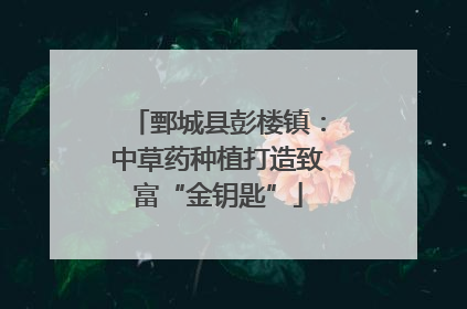 鄄城县彭楼镇：中草药种植打造致富“金钥匙”