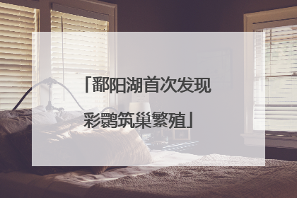 鄱阳湖首次发现彩鹮筑巢繁殖
