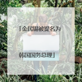 金民锡被提名为韩国国务总理