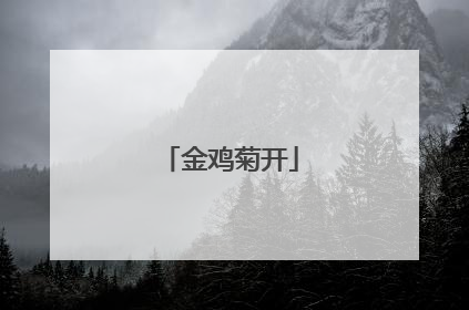 金鸡菊开