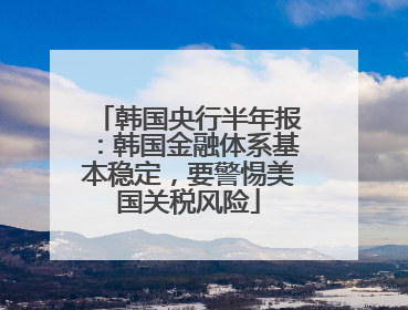 韩国央行半年报：韩国金融体系基本稳定，要警惕美国关税风险