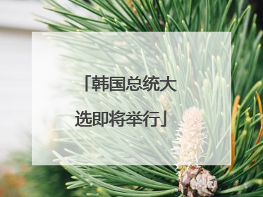 韩国总统大选即将举行