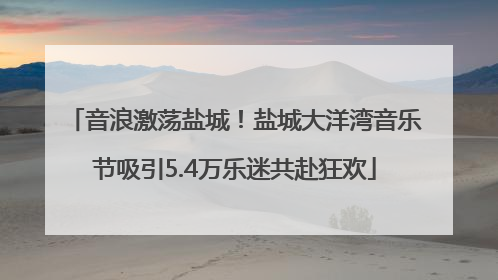 音浪激荡盐城！盐城大洋湾音乐节吸引5.4万乐迷共赴狂欢