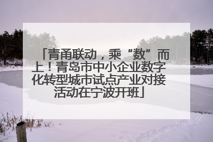 青甬联动，乘“数”而上！青岛市中小企业数字化转型城市试点产业对接活动在宁波开班