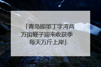 青岛即墨丁字湾两万亩蛏子迎来收获季 每天万斤上岸