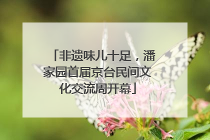 非遗味儿十足，潘家园首届京台民间文化交流周开幕