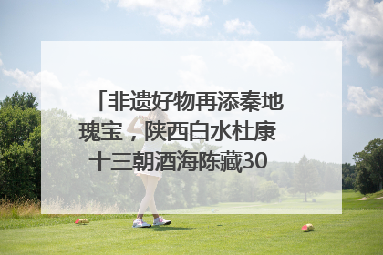 非遗好物再添秦地瑰宝，陕西白水杜康十三朝酒海陈藏30年别具一格