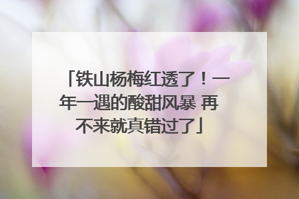 铁山杨梅红透了！一年一遇的酸甜风暴 再不来就真错过了
