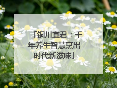 铜川宜君：千年养生智慧烹出时代新滋味