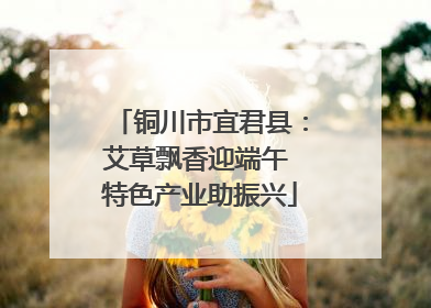 铜川市宜君县：艾草飘香迎端午 特色产业助振兴