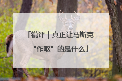 锐评｜真正让马斯克“作呕”的是什么
