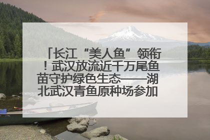 长江“美人鱼”领衔！武汉放流近千万尾鱼苗守护绿色生态——湖北武汉青鱼原种场参加2025年“全国放鱼日”增殖放流活动