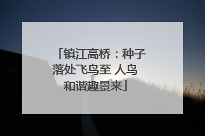镇江高桥：种子落处飞鸟至 人鸟和谐趣景来