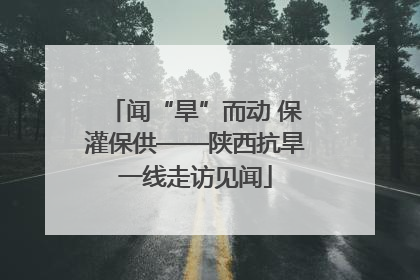 闻“旱”而动 保灌保供——陕西抗旱一线走访见闻