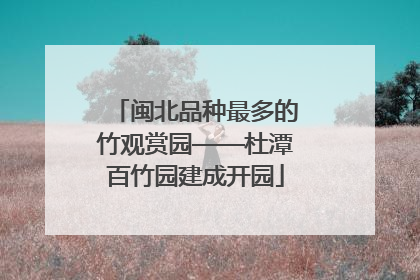 闽北品种最多的竹观赏园——杜潭百竹园建成开园