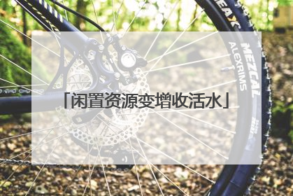 闲置资源变增收活水